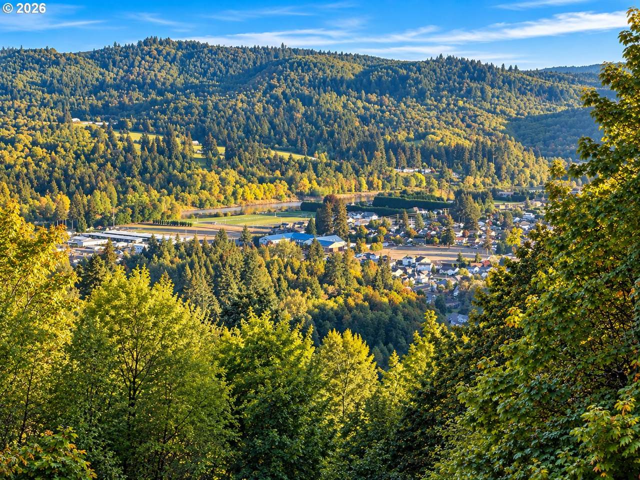 https://bt-photos.global.ssl.fastly.net/portland/1280_boomver_1_458049405-2.jpg