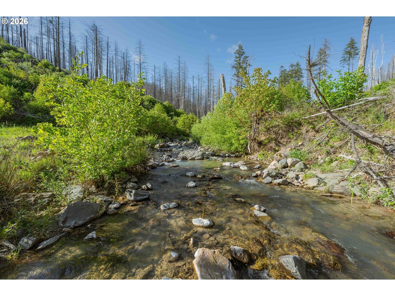 942 Honey Creek Rd - Photo 1