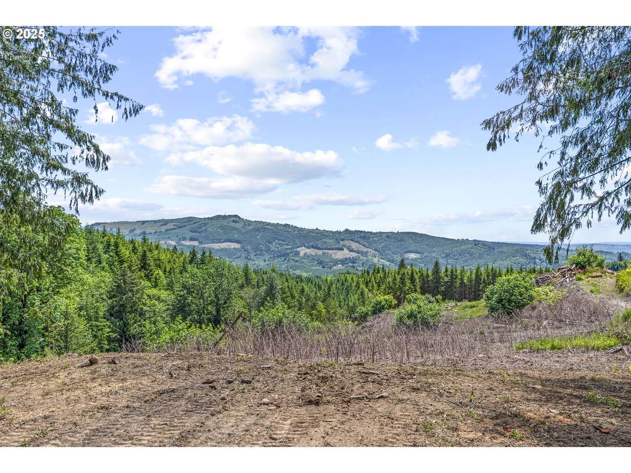 1899 Mount Pleasant Rd - Photo 1