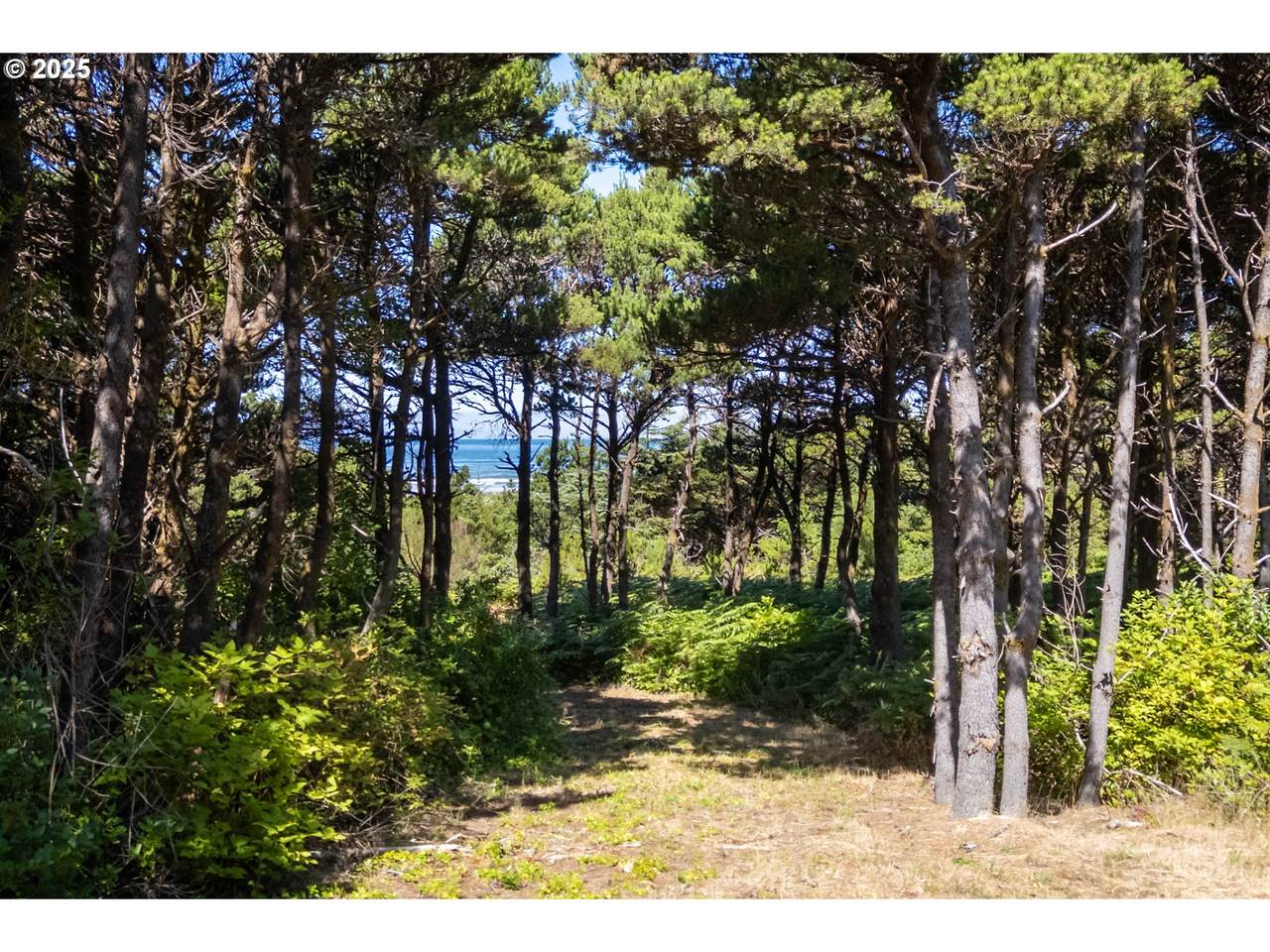 600 Pacific Coast Hwy - Photo 1