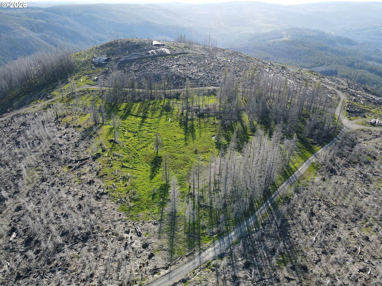 2 Middle Horse Creek Rd - Photo 1