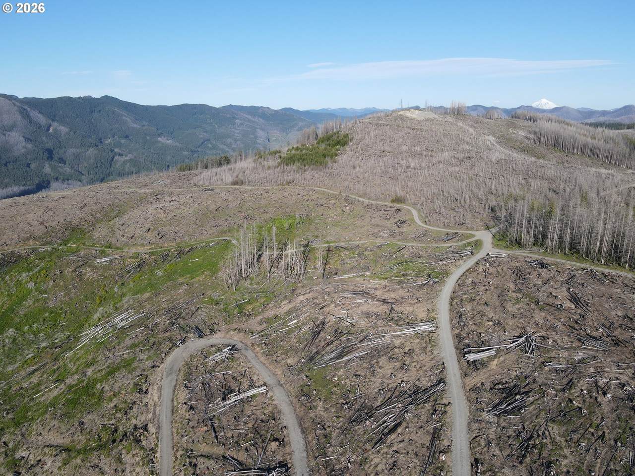 https://bt-photos.global.ssl.fastly.net/portland/1280_boomver_1_462291035-2.jpg