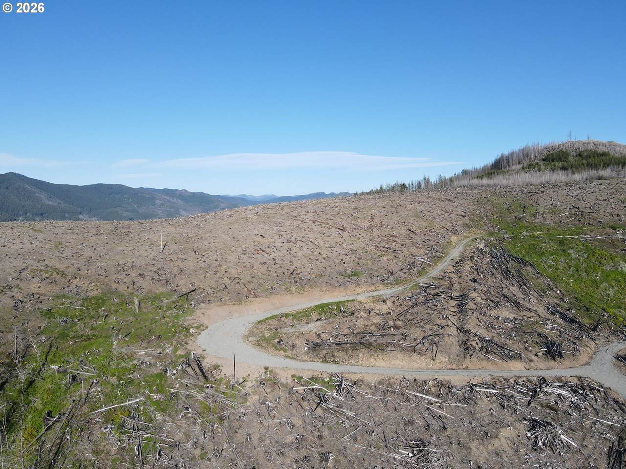 https://bt-photos.global.ssl.fastly.net/portland/1280_boomver_1_462291035-2.jpg
