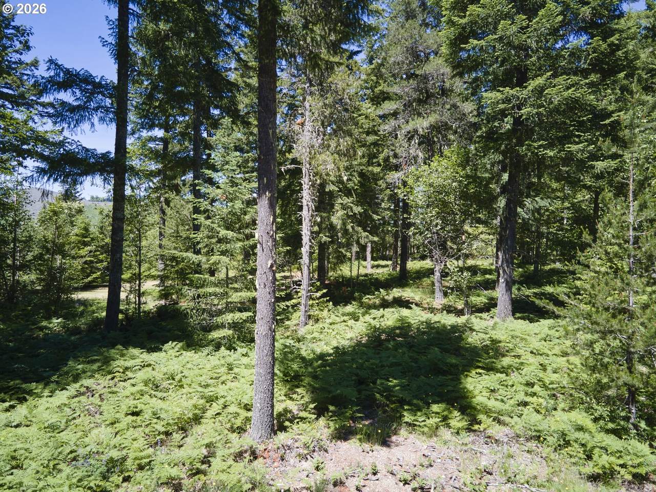 https://bt-photos.global.ssl.fastly.net/portland/1280_boomver_1_462849214-2.jpg