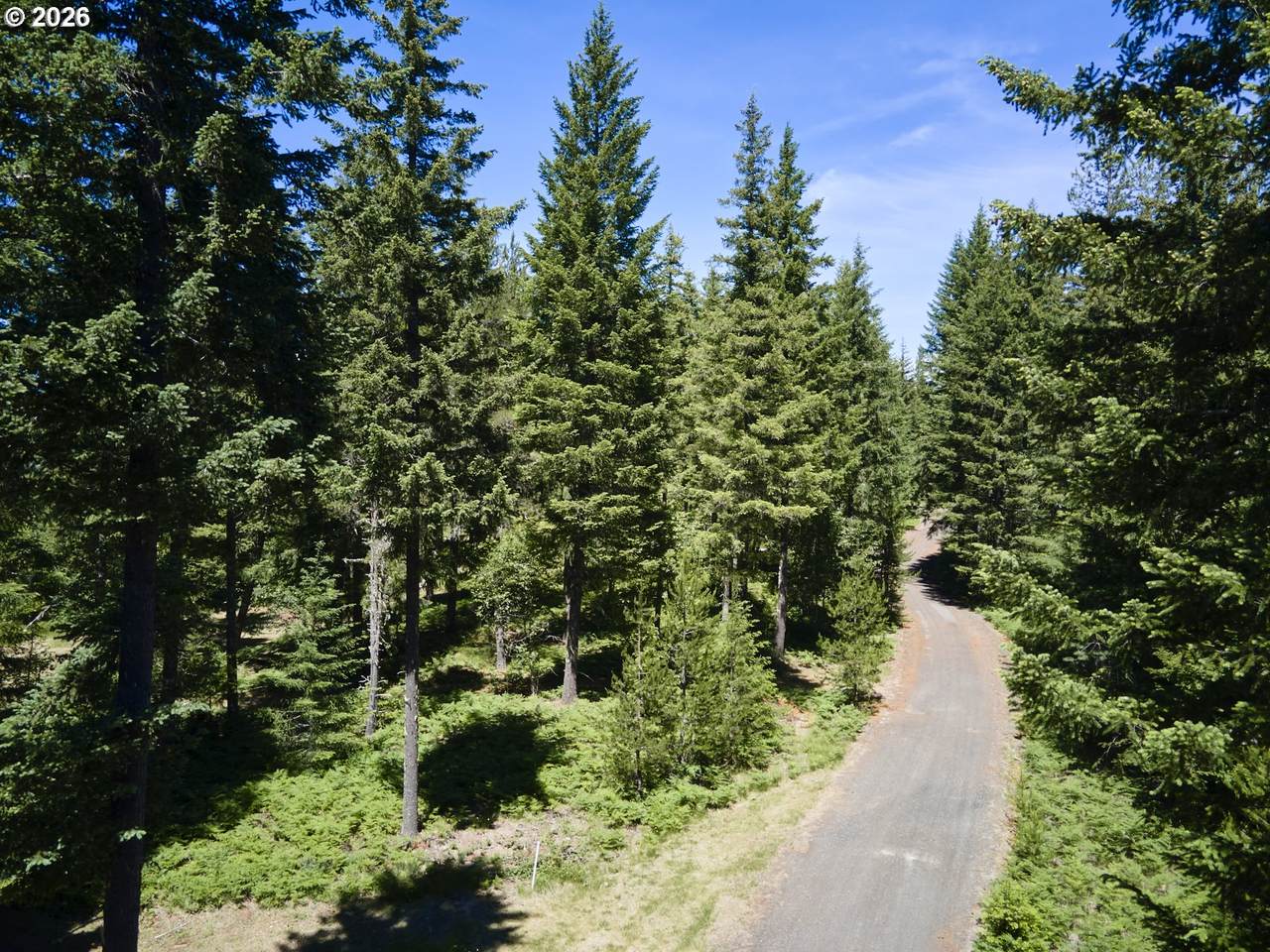 https://bt-photos.global.ssl.fastly.net/portland/1280_boomver_1_462849214-2.jpg