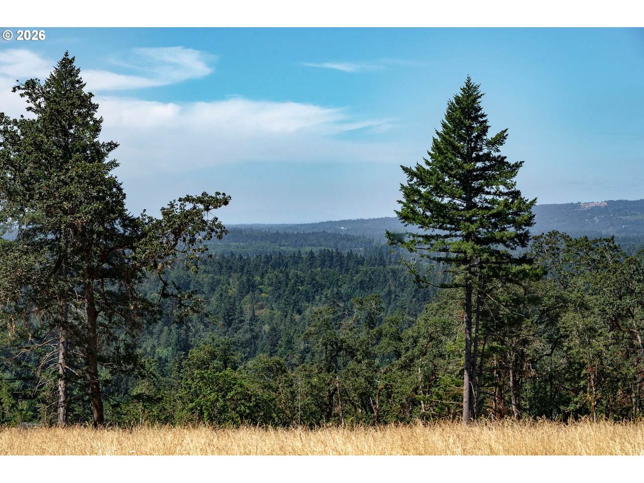 28797 Petes Mountain Rd - Photo 1