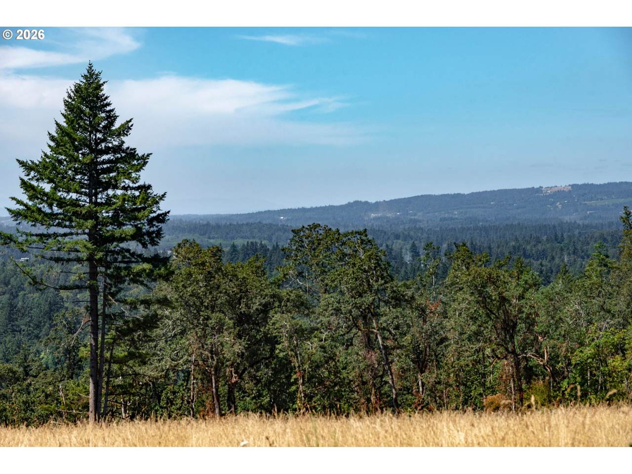 https://bt-photos.global.ssl.fastly.net/portland/1280_boomver_1_464968209-2.jpg