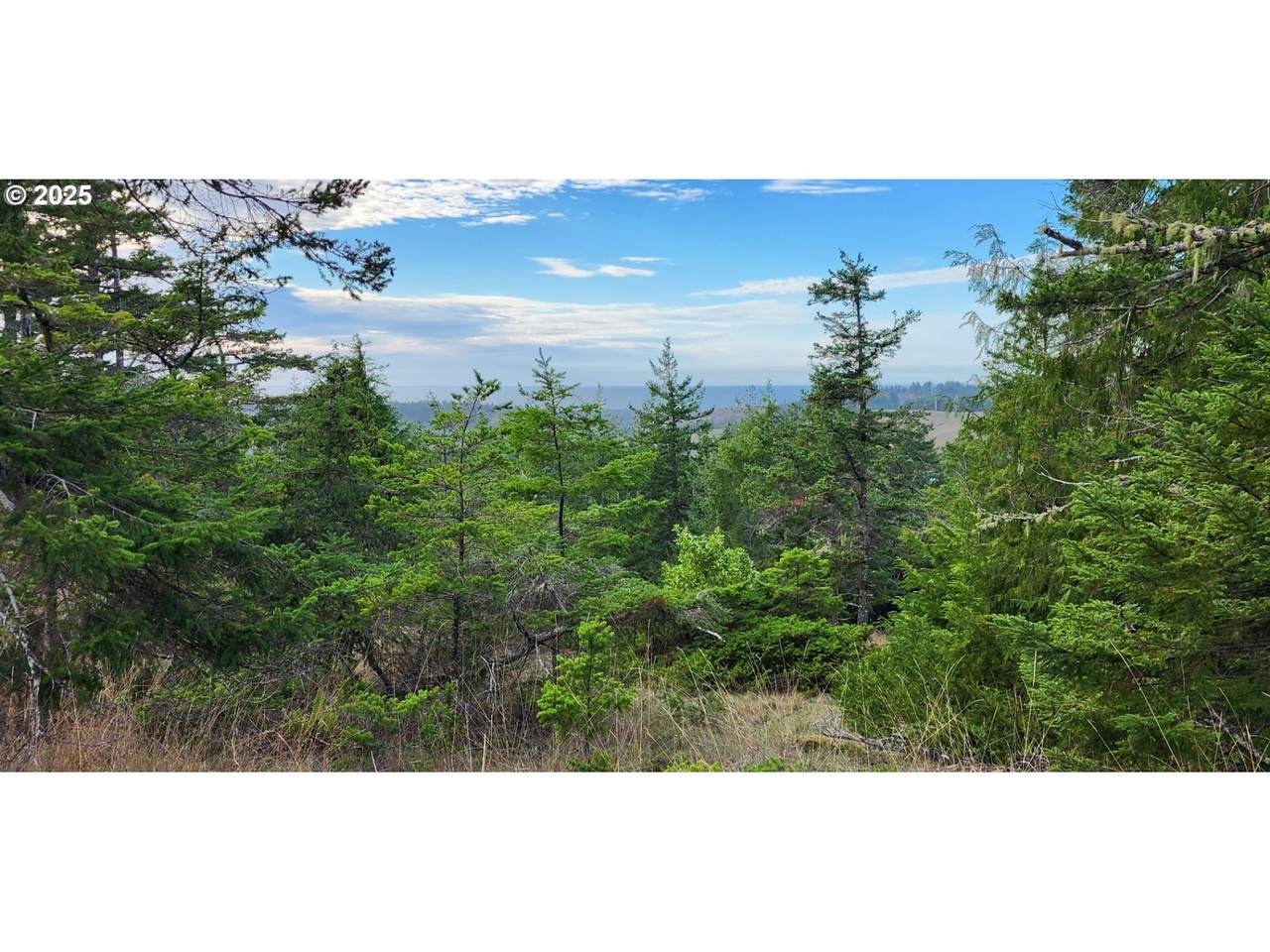 https://bt-photos.global.ssl.fastly.net/portland/1280_boomver_1_466659074-2.jpg