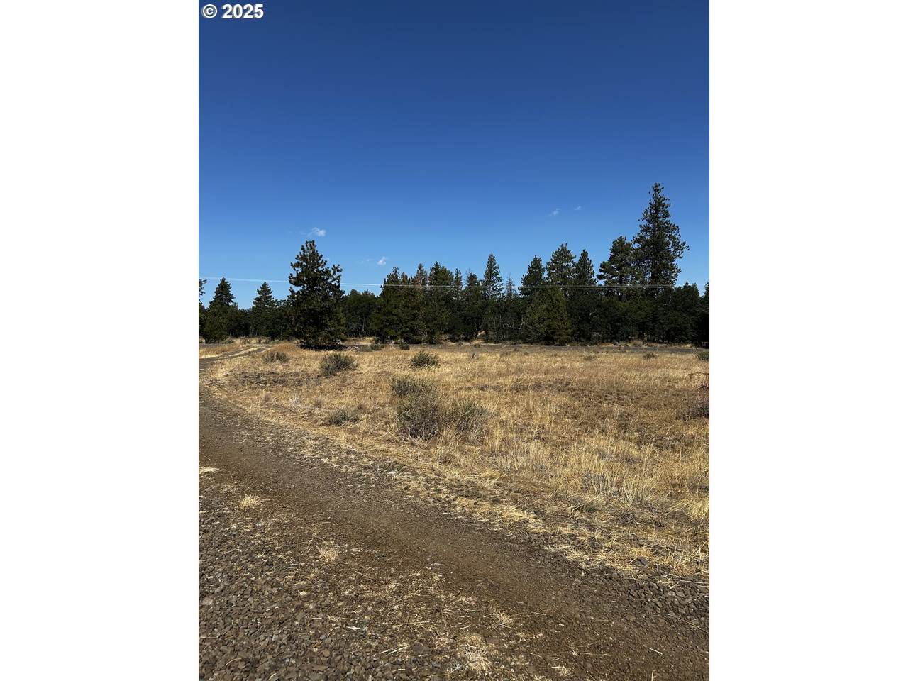  Blk 22 Bickleton Hwy - Photo 1