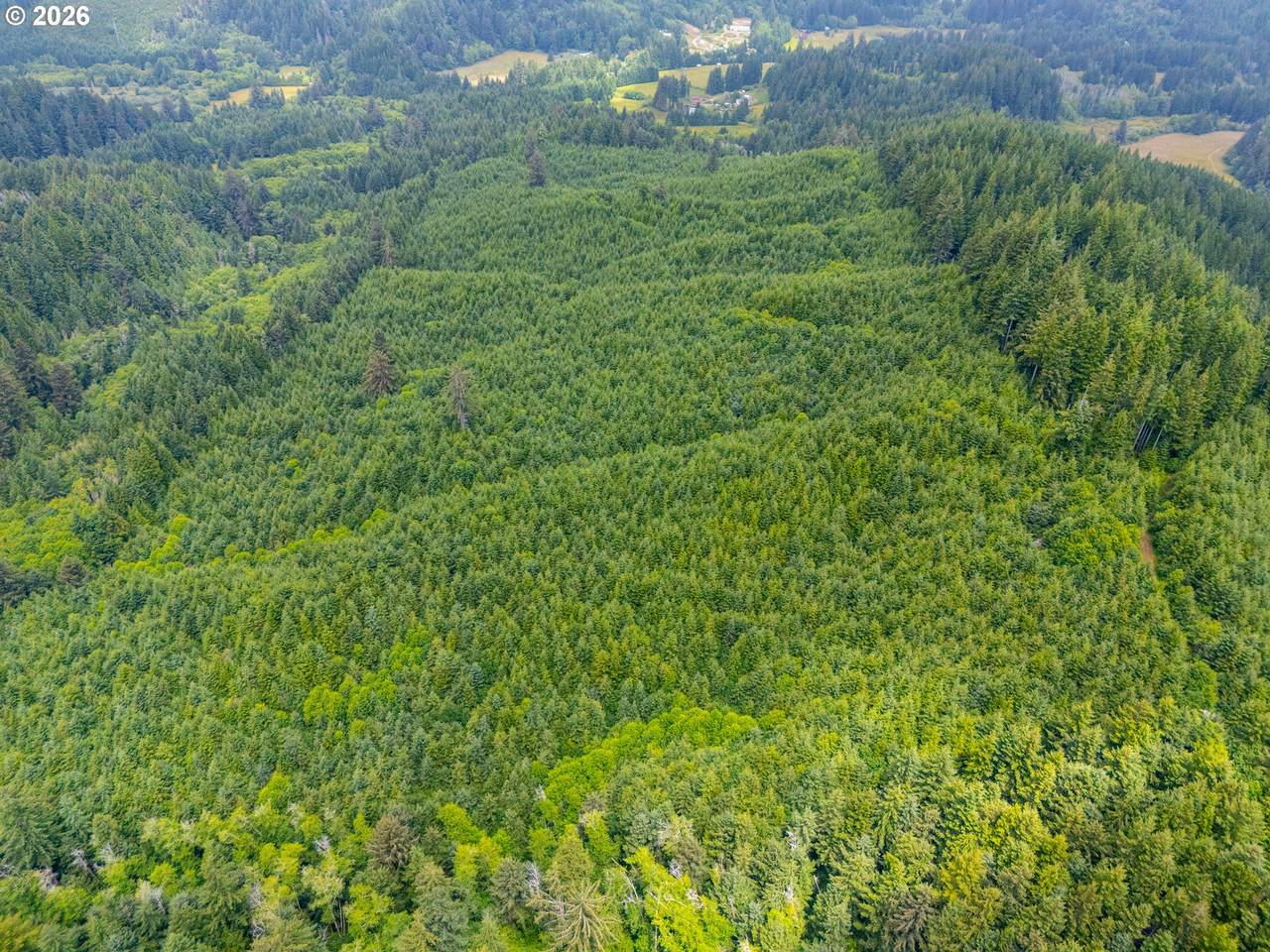  Usfs 5591 - Photo 1