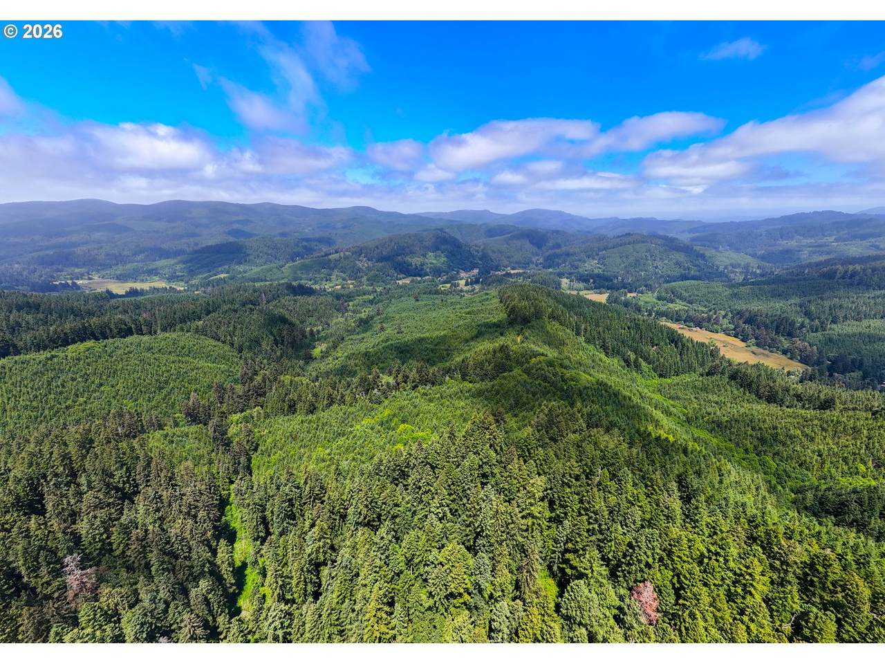 https://bt-photos.global.ssl.fastly.net/portland/1280_boomver_1_467854717-2.jpg