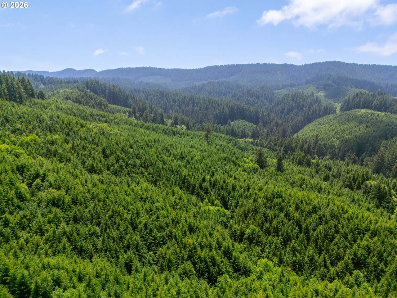 https://bt-photos.global.ssl.fastly.net/portland/1280_boomver_1_467854717-2.jpg