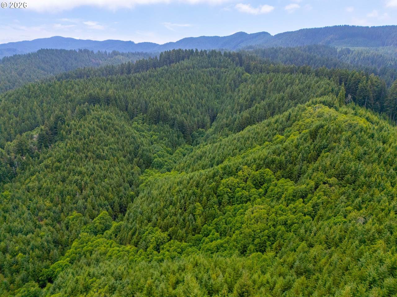 https://bt-photos.global.ssl.fastly.net/portland/1280_boomver_1_467854717-2.jpg