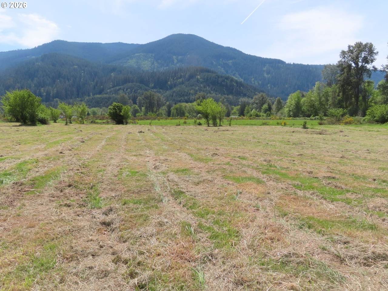 295 River Ranch Rd - Photo 1