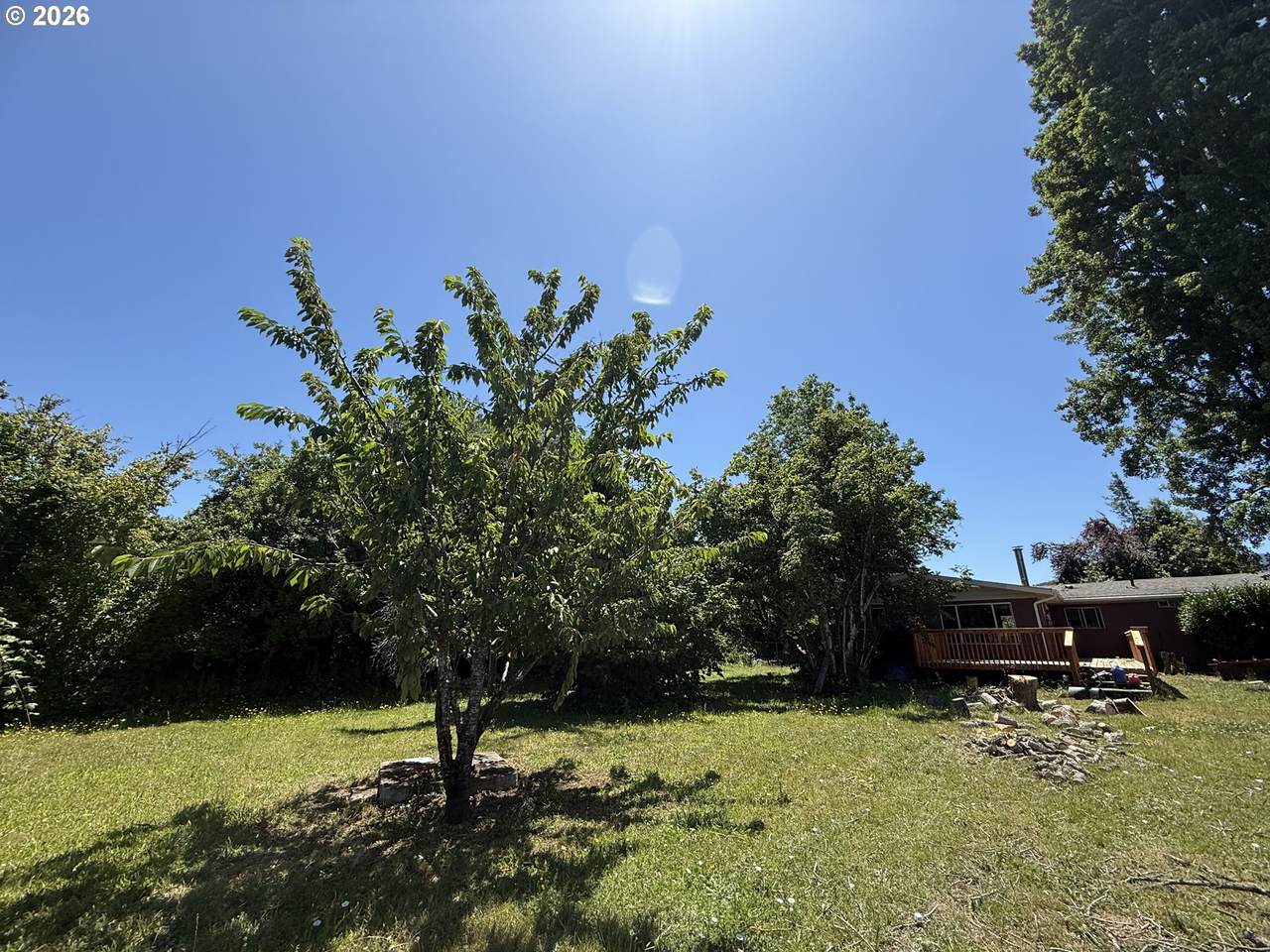 211 Alder St - Photo 1