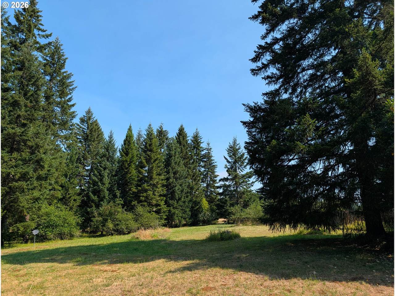 49241 Mountain View Rd - Photo 1