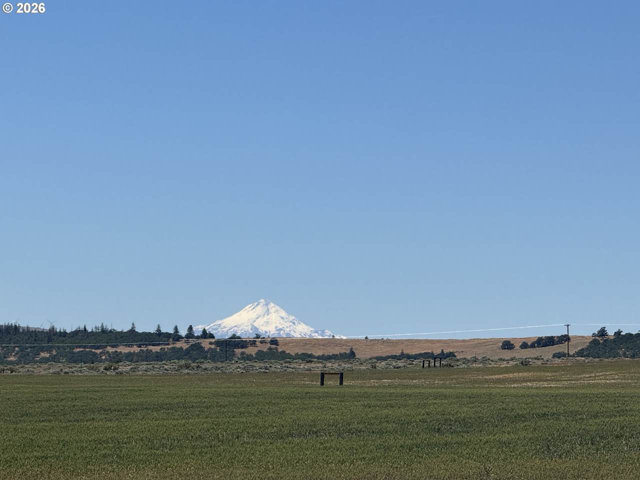  Wheatland Dr - Photo 1