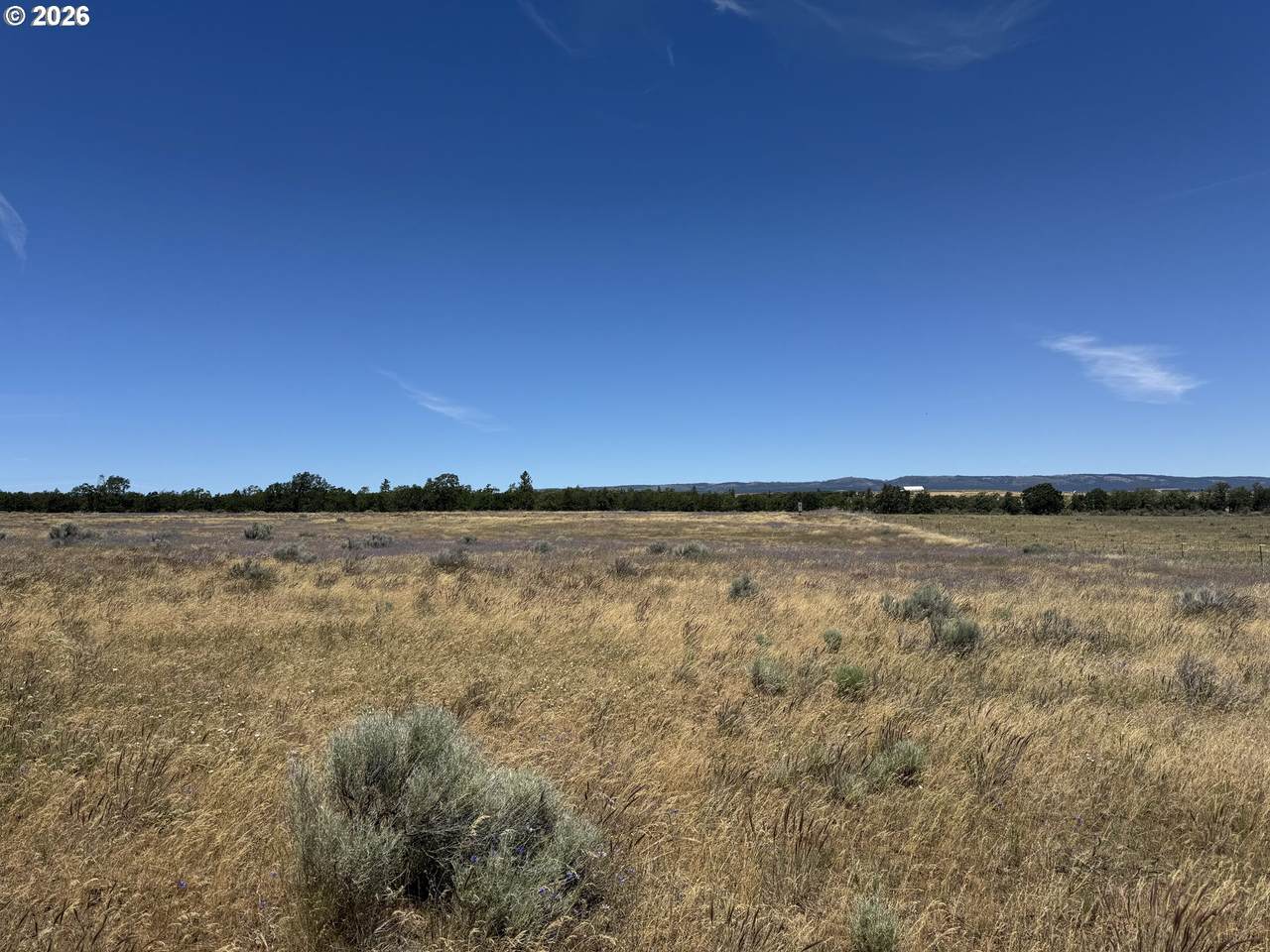 https://bt-photos.global.ssl.fastly.net/portland/1280_boomver_1_472616267-2.jpg