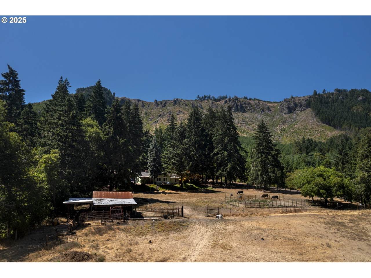 1620 Touchstone Ln - Photo 1