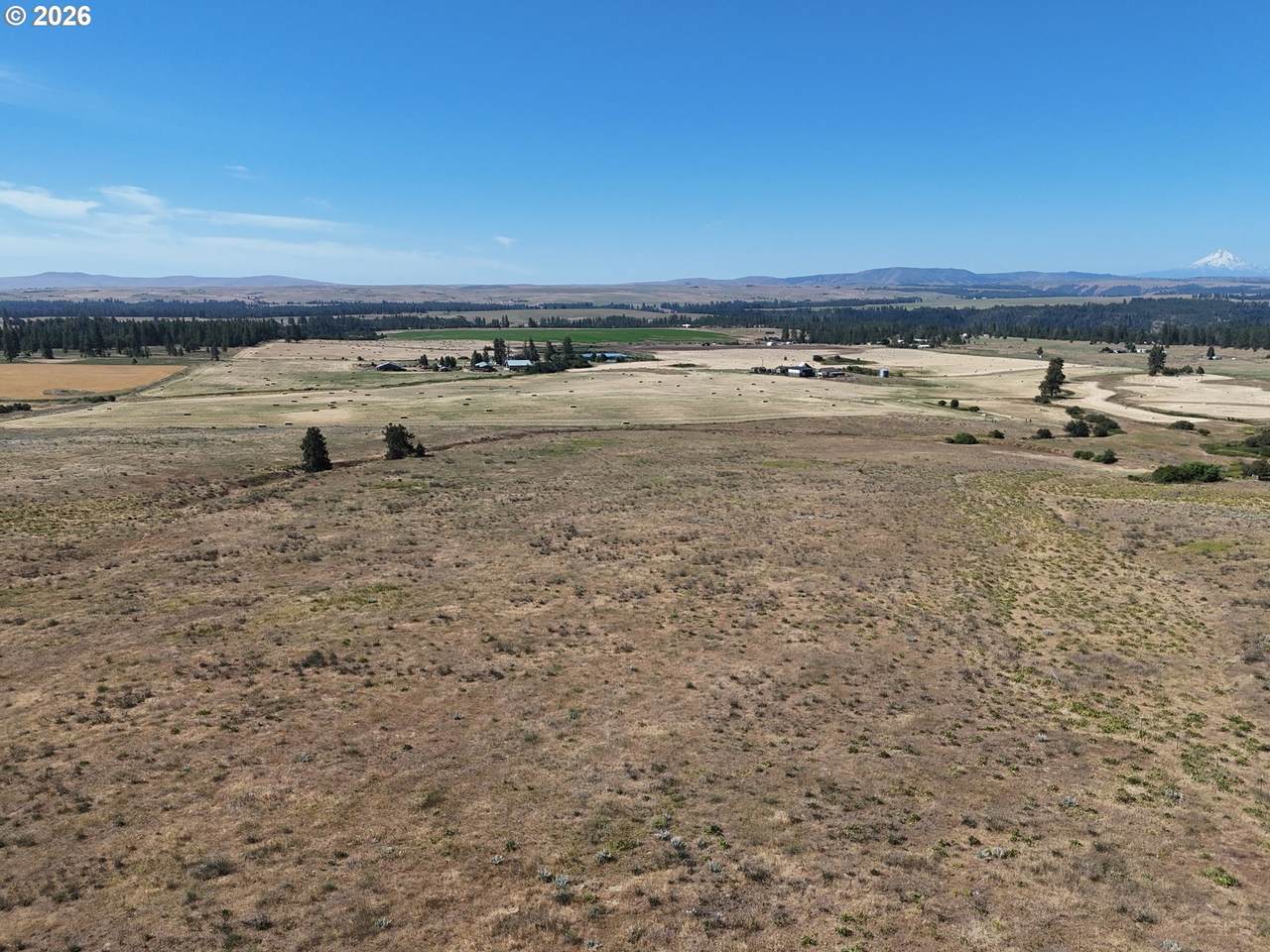 2444 Highway 142 - Photo 1