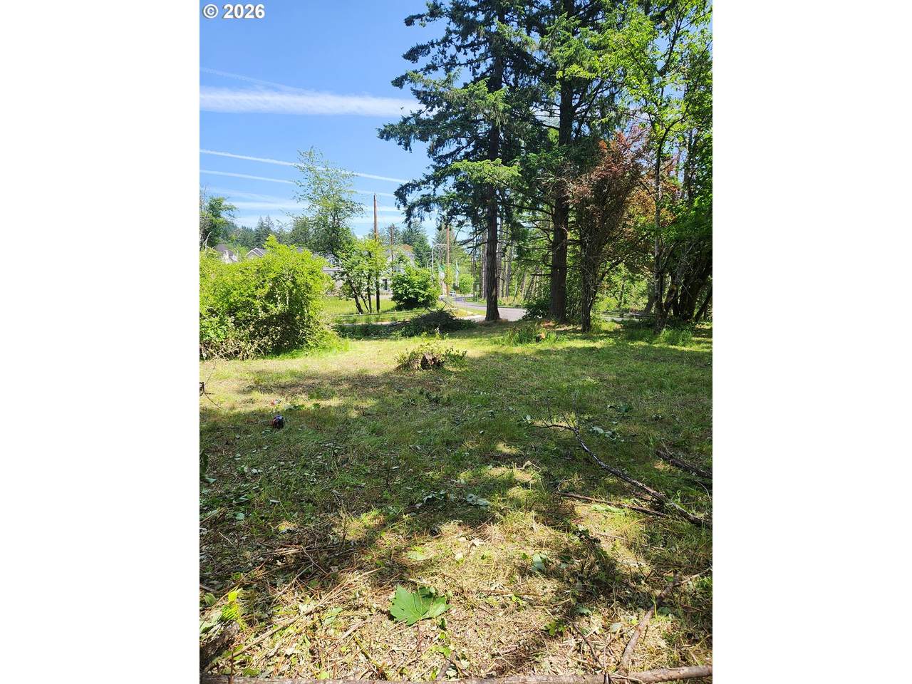 12439 Laidlaw Rd - Photo 1