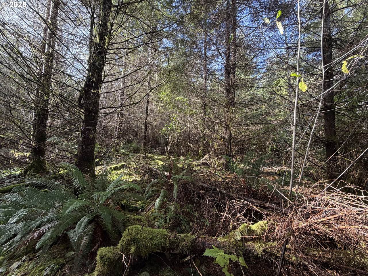 https://bt-photos.global.ssl.fastly.net/portland/1280_boomver_1_479089506-2.jpg