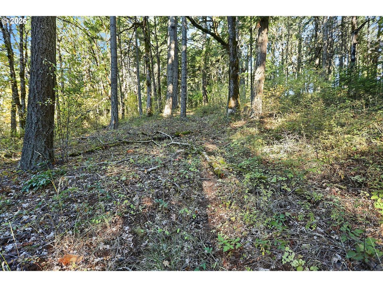  Echo Glen Rd - Photo 1
