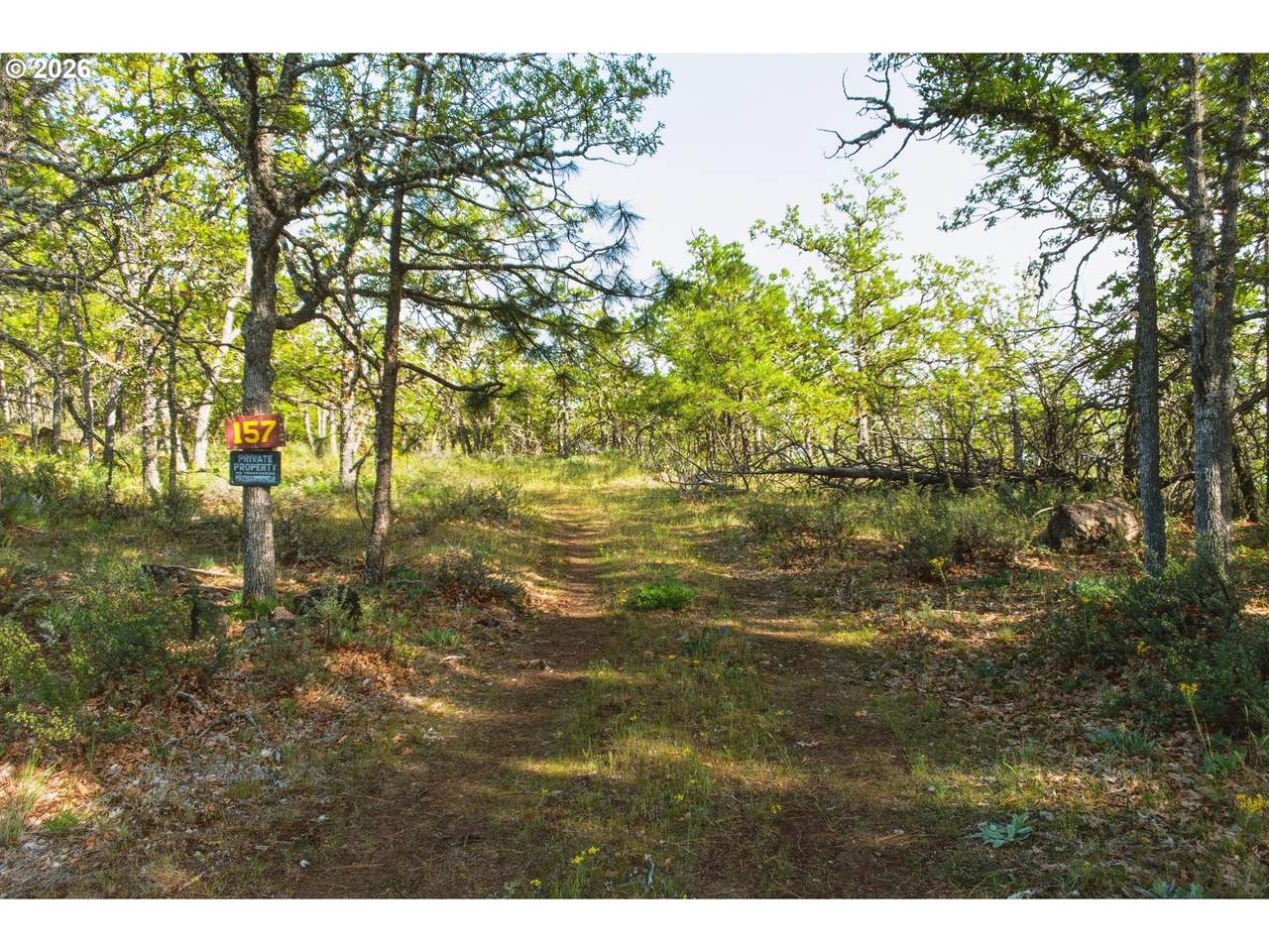 157 Ponderosa Park - Photo 1