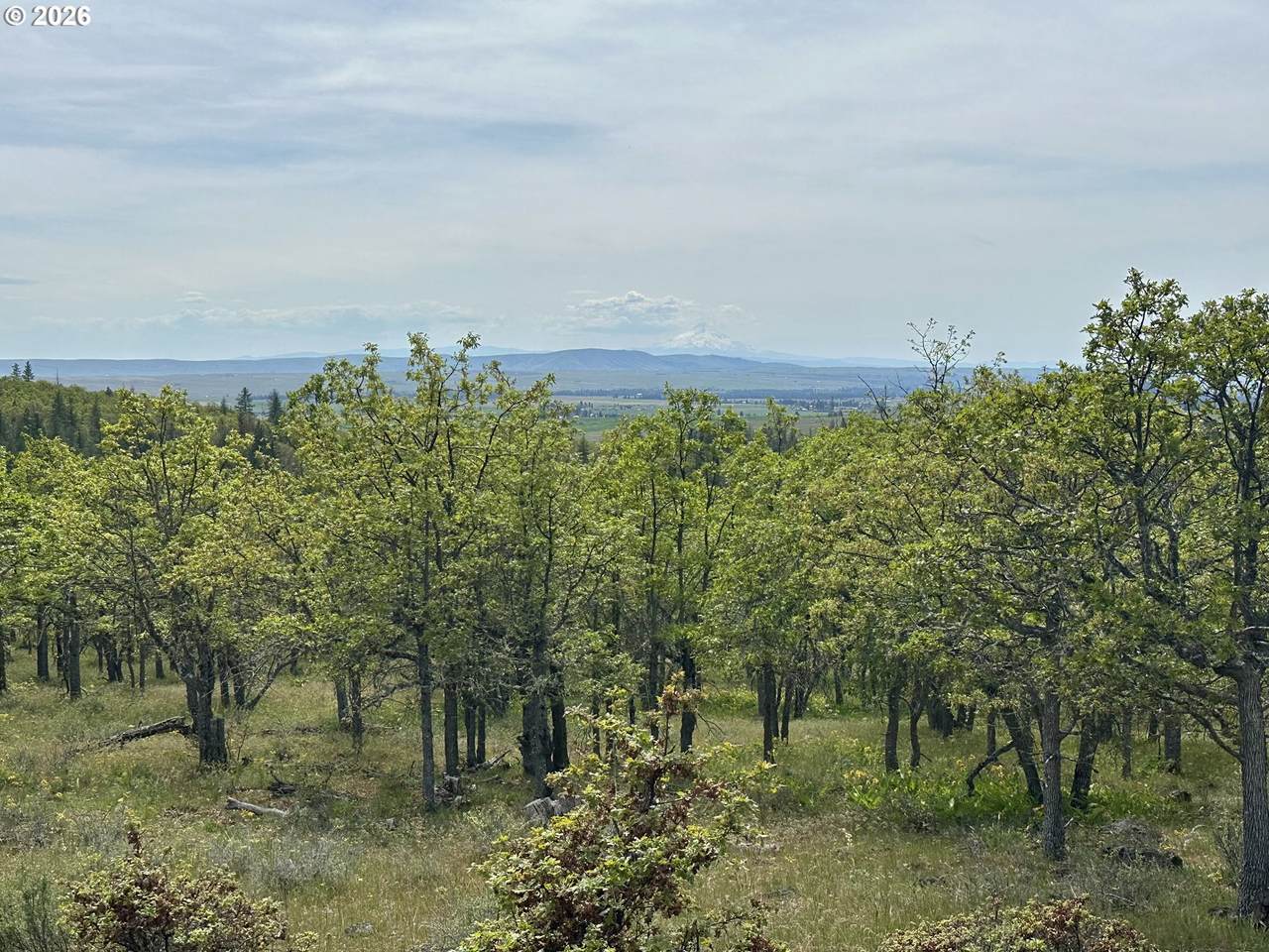 https://bt-photos.global.ssl.fastly.net/portland/1280_boomver_1_488872032-2.jpg