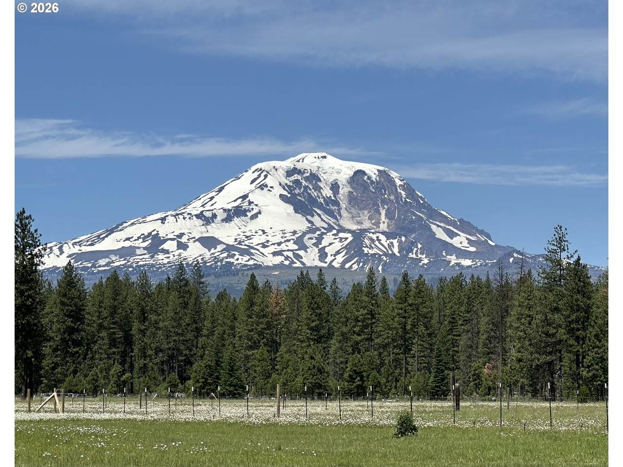 https://bt-photos.global.ssl.fastly.net/portland/1280_boomver_1_489118294-2.jpg