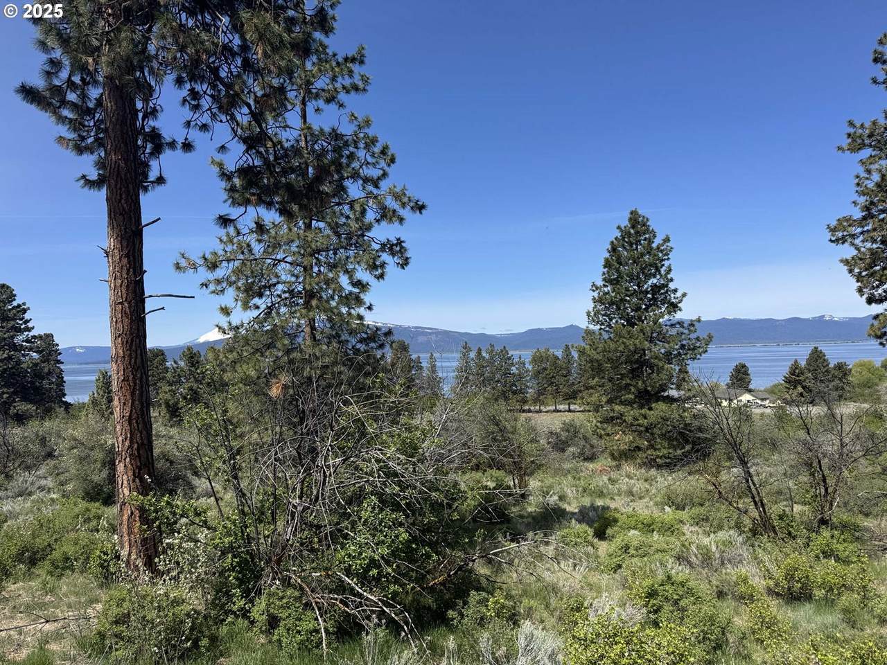  Oregon Shores Drive - Photo 1