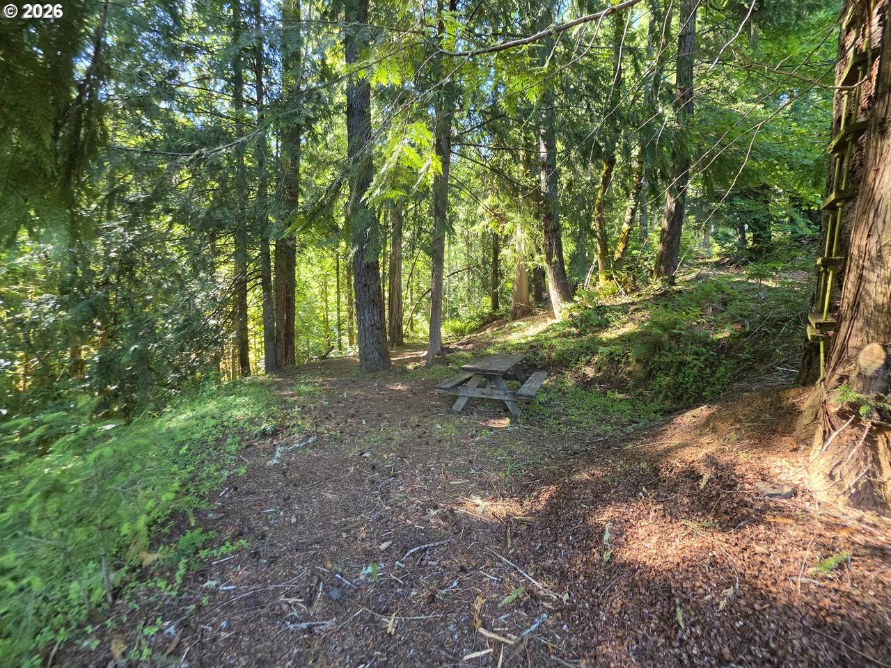 https://bt-photos.global.ssl.fastly.net/portland/1280_boomver_1_494040678-2.jpg