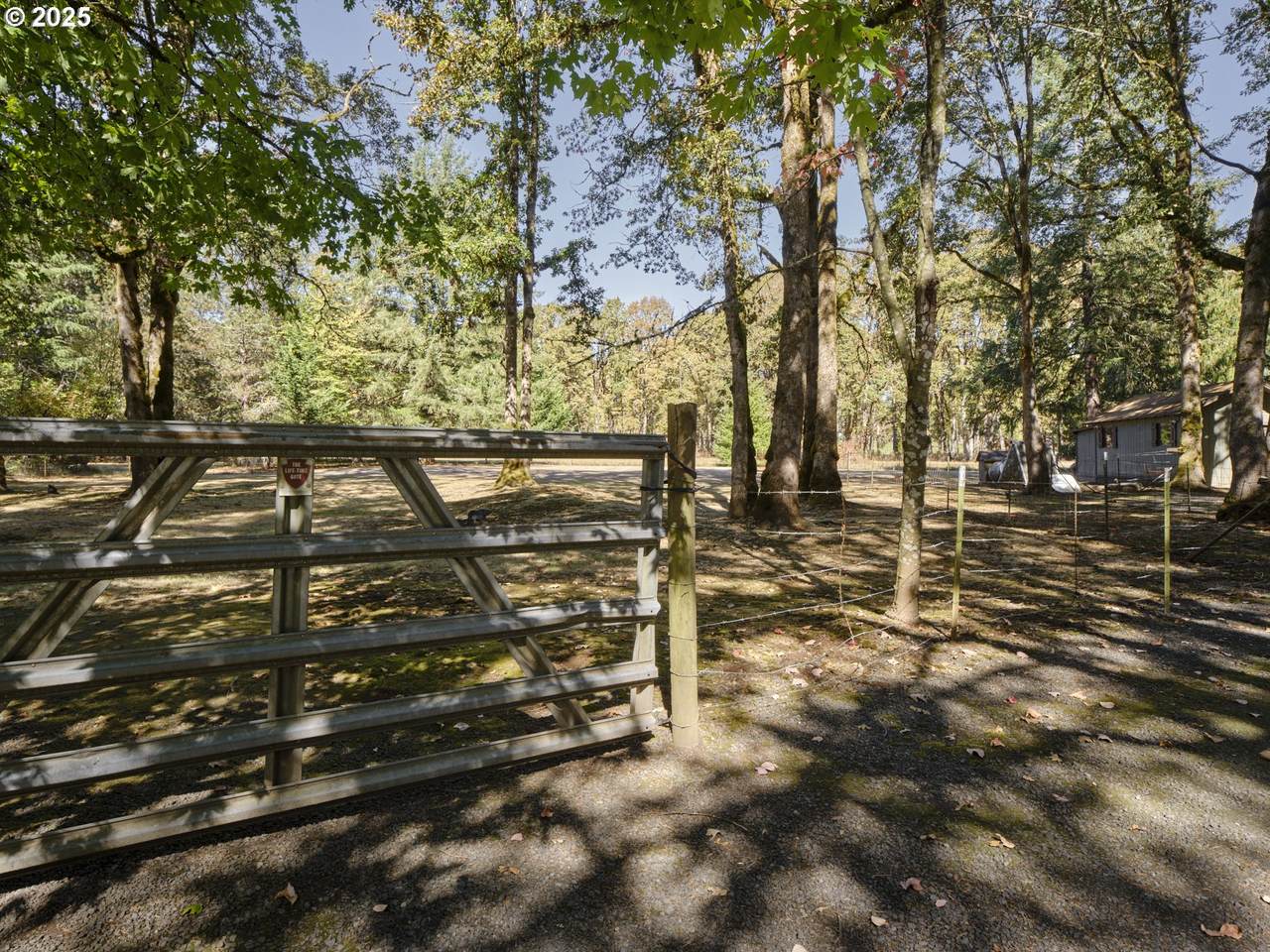 27203 103RD Ave - Photo 1