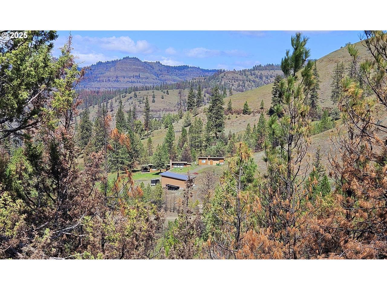 47345 Ritter Rd - Photo 1