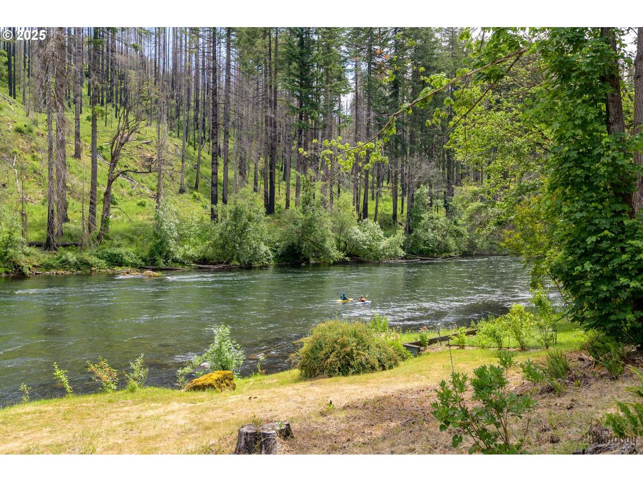 47664 Mckenzie Hwy - Photo 1