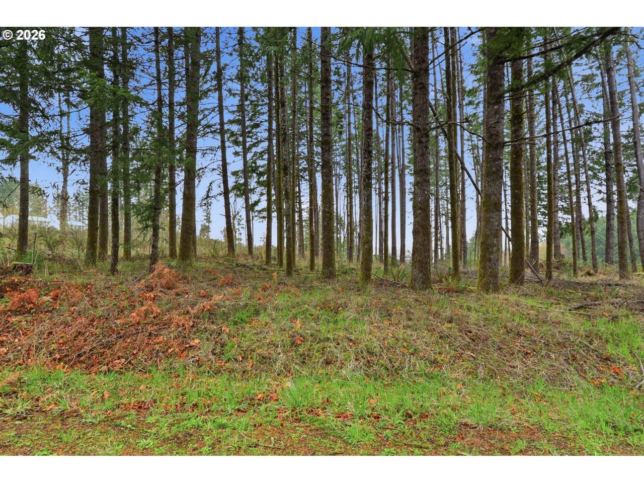  Pumpkin Ridge Rd - Photo 1