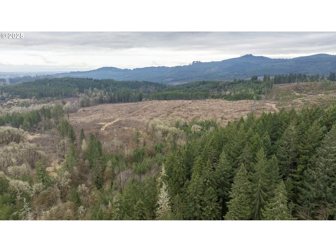 https://bt-photos.global.ssl.fastly.net/portland/1280_boomver_1_500851300-2.jpg