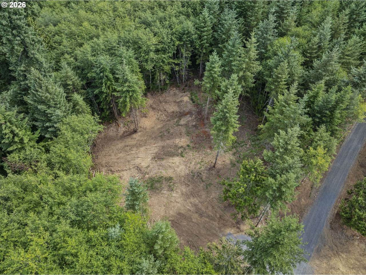 217 Durins Pl - Photo 1