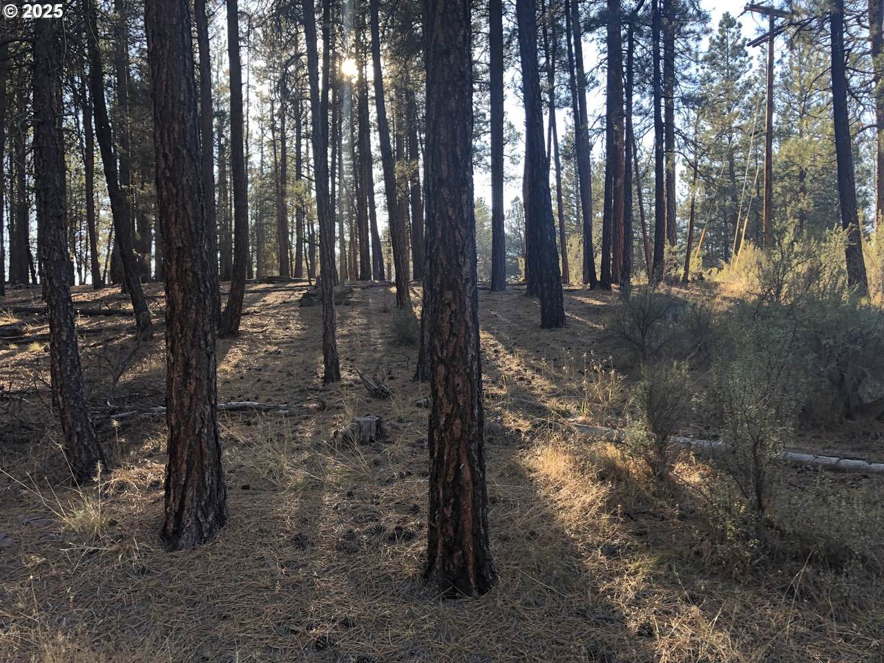 32555 Magpie Rd - Photo 1