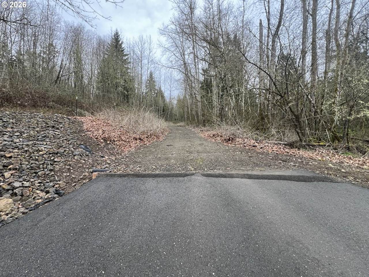 318 Martins Bluff Rd - Photo 1