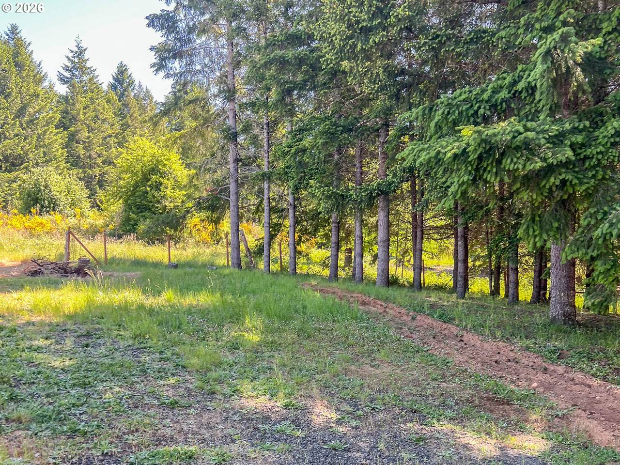 https://bt-photos.global.ssl.fastly.net/portland/1280_boomver_1_506976646-2.jpg