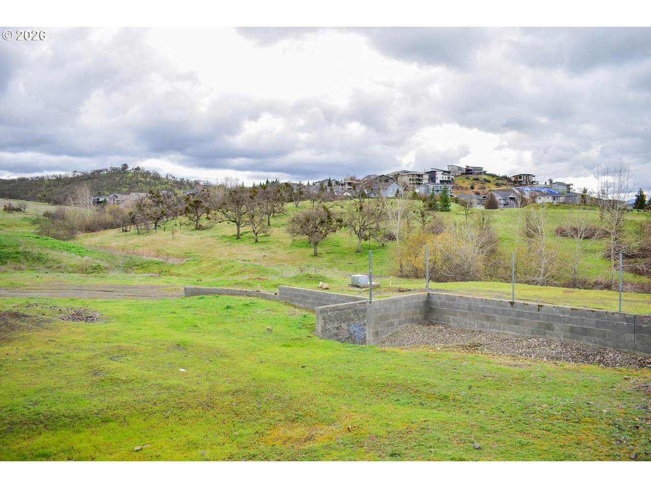 3010 Lone Pine Dr - Photo 1