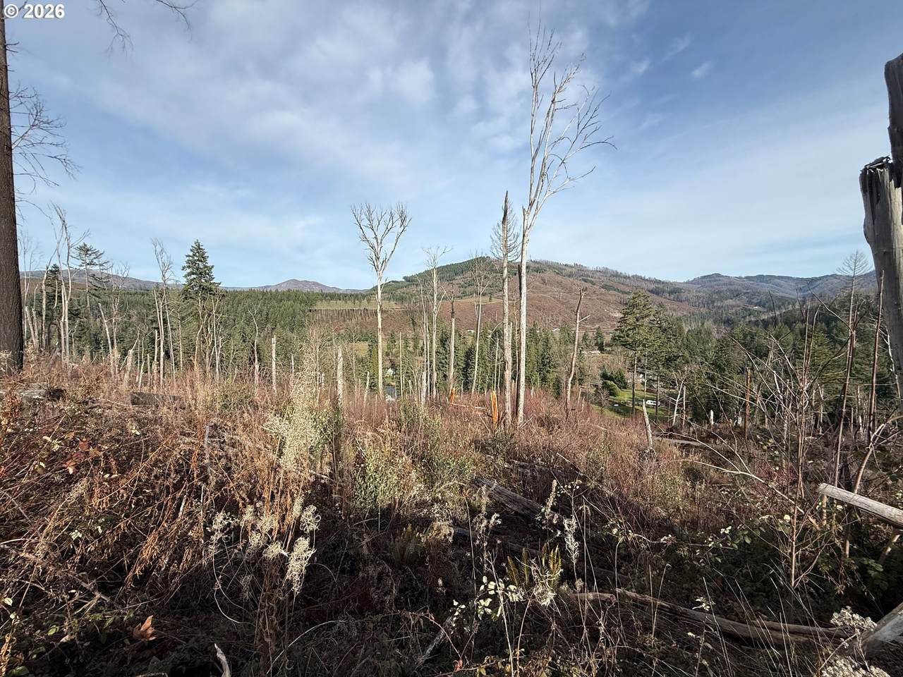  Cascade View - Photo 1
