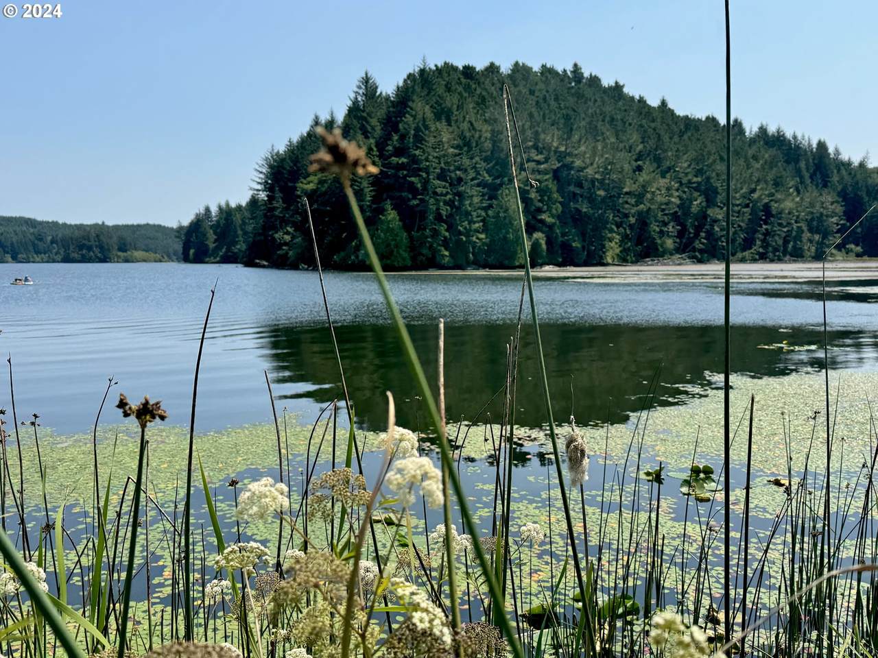 000 Tahkenitch Lake - Photo 1