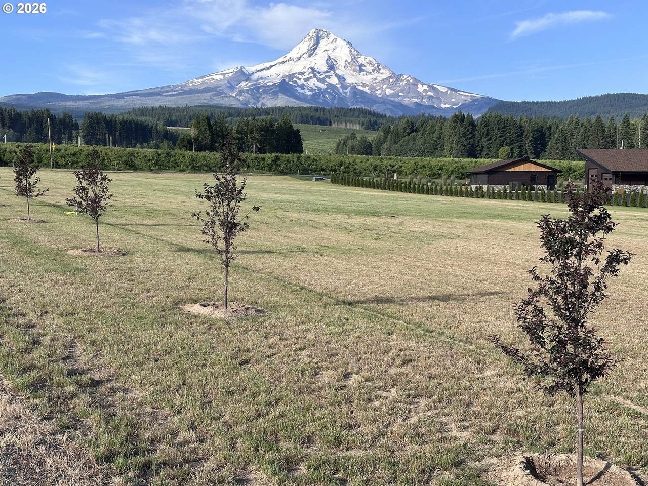 https://bt-photos.global.ssl.fastly.net/portland/1280_boomver_1_513435014-2.jpg