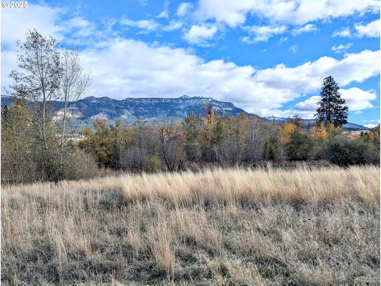 0 Rose Ridge Rd - Photo 1