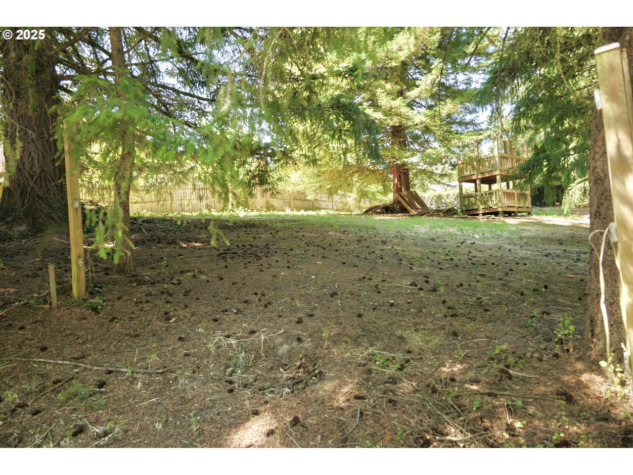 1845 Turnage St - Photo 1