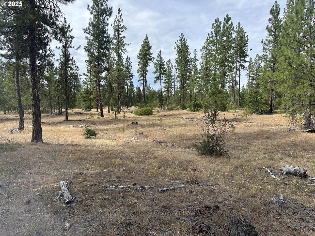 3 Greyback Mt Rd - Photo 1