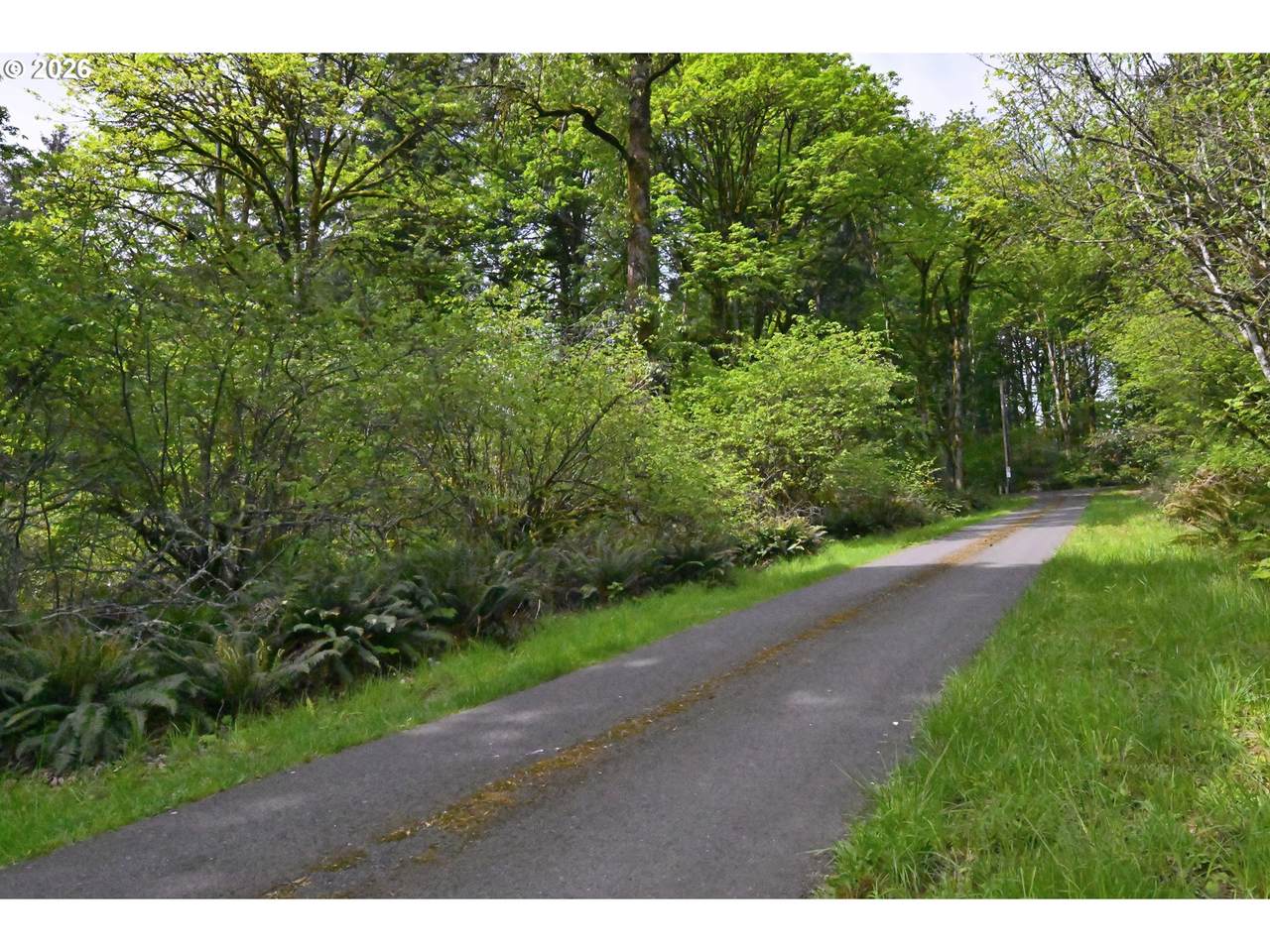 0 Maple Hill Ln - Photo 1