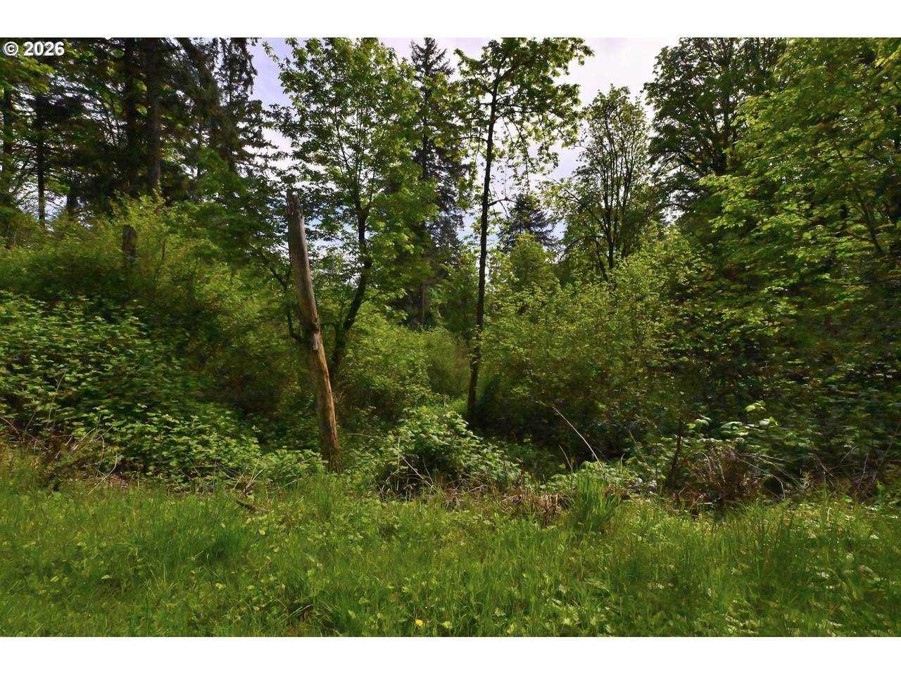 https://bt-photos.global.ssl.fastly.net/portland/1280_boomver_1_520099905-2.jpg